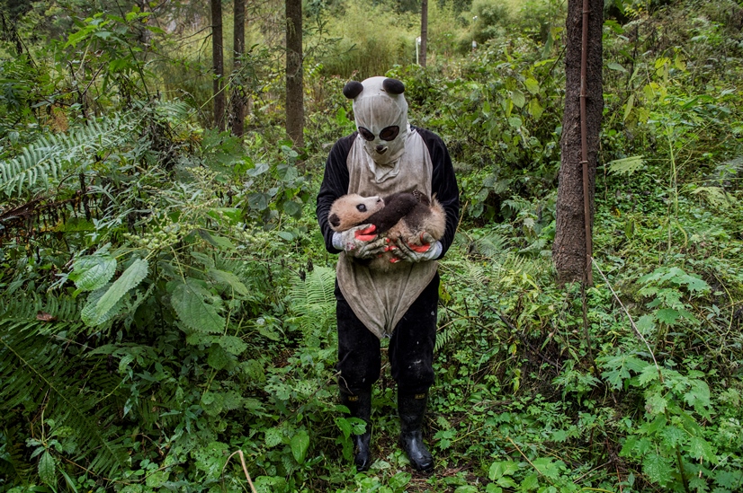 Le immagini più straordinarie del world press photo al Forte di Bard in Valle d’Aosta