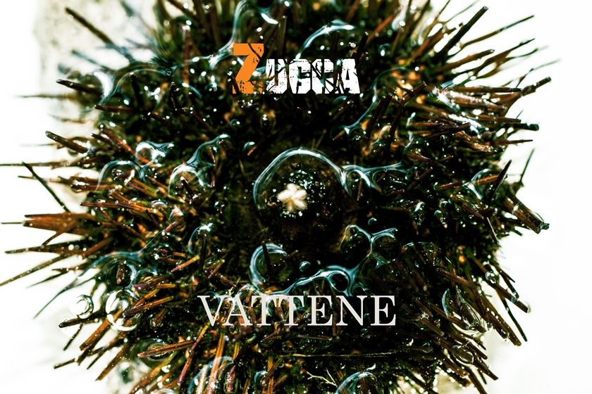 Uscito “Vattene”, secondo album di Zucca