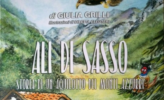 “Ali di sasso”, l’ultimo libro di Giulia Grilli