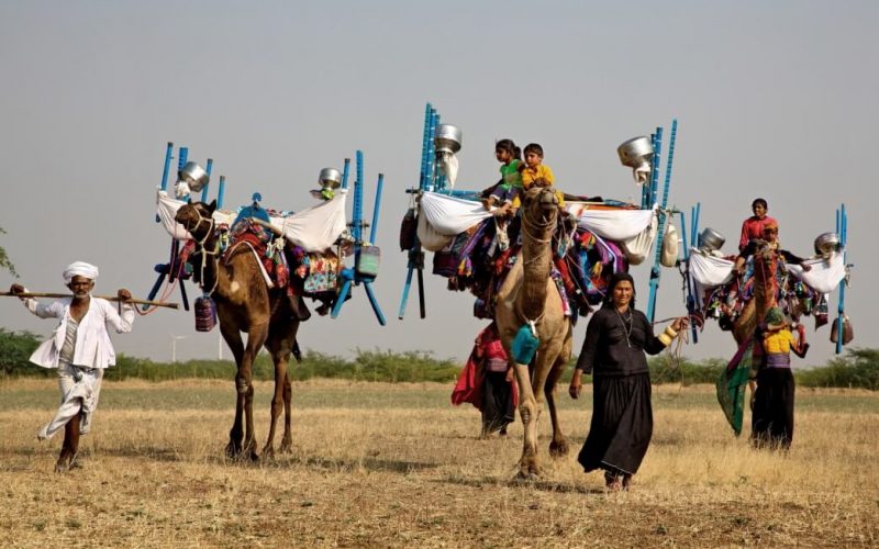 “Ancora in cammino” in migrazione con i pastori Rabari Vagadiya del Kutch