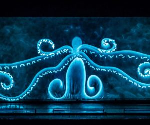 “Blu infinito” della compagnia Evolution Dance Theater strega il palcoscenico di Macerata