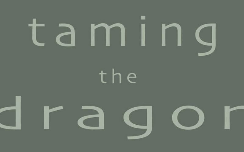 Uscito “Taming the dragon”, il nuovo album di Paolo Di Cioccio & Adriano Lanzi